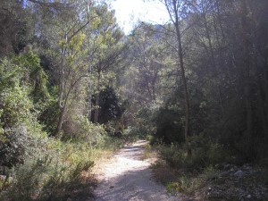 The Barranco Coladilla gorge path     